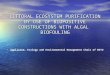 LITTORAL ECOSYSTEM PURIFICATION BY USE OF BIOPOSITIVE CONSTRUCTIONS WITH ALGAL BIOFOULING Applicant: Ecology and Environmental Management Chair of MSTU