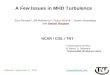 A Few Issues in MHD Turbulence Alex Alexakis*, Bill Matthaeus %, Pablo Mininni^, Duane Rosenberg and Annick Pouquet NCAR / CISL / TNT * Observatoire de