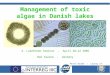 Management of toxic algae in Danish lakes 2. LakePromo Seminar - April 20–22 2005 Bad Saarow - Germany Mette Bramm - County of North Jutland