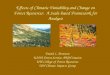 Effects of Climatic Variability and Change on Forest Resources: A Scale- based Framework for Analysis David L. Peterson USDA Forest Service, PNW Station