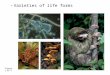 –Varieties of life forms Figure 1.4C-F. All organisms have evolutionary adaptations –Inherited characteristics that enhance their ability to survive and