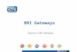 BRI Gateways  Digital GSM Gateways. We have been a European manufacturer and systems developer in the telecommunications market since 1991 We