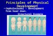 Principles of Physical Development Cephalocaudal - development from head down. Structural Example