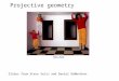 Projective geometry Ames Room Slides from Steve Seitz and Daniel DeMenthon