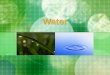 Water. Earth the Water Planet Special Properties of Water Universal Solvent Transparency Three Physical Phases Density and Temperature High Specific