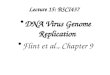 Lecture 15: BSCI437 DNA Virus Genome Replication Flint et al., Chapter 9