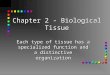 Chapter 2 - Biological Tissue Each type of tissue has a specialized function and a distinctive organization