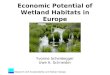 Research Unit Sustainability and Global Change Economic Potential of Wetland Habitats in Europe Yvonne Scheidegger Uwe A. Schneider