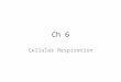 Ch 6 Cellular Respiration. Energy for life ECOSYSTEM Photosynthesis in chloroplasts Glucose Cellular respiration in mitochondria H2OH2O CO 2 O2O2