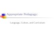 Appropriate Pedagogy: Language, Culture, and Curriculum