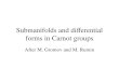Submanifolds and differential forms in Carnot groups After M. Gromov and M. Rumin