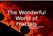 The Wonderful World of Fractals Based on a Lesson by Cynthia Lanius