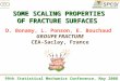 SOME SCALING PROPERTIES OF FRACTURE SURFACES 99th Statistical Mechanics Conference, May 2008 D. Bonamy, L. Ponson, E. Bouchaud GROUPE FRACTURE CEA-Saclay,