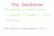 The Skeleton The skeleton is formed of bones + Ligaments + Tendons + Joints of the body. The skeleton is formed mainly of bones