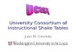 University Consortium of Instructional Shake Tables Juan M. Caicedo