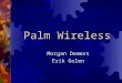 Palm Wireless Morgan Demers Erik Golen. Presentation Agenda  Project Definition  Technical Specifications - Hardware - Communication Protocol - Chat