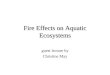 Fire Effects on Aquatic Ecosystems guest lecture by Christine May