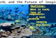 UCRL-PRES-?????? CorAL and the Future of Imaging This work was performed under the auspices of the U.S. Department of Energy by University of California,