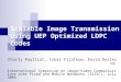 1 Scalable Image Transmission Using UEP Optimized LDPC Codes Charly Poulliat, Inbar Fijalkow, David Declercq International Symposium on Image/Video Communications