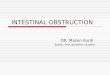 INTESTINAL OBSTRUCTION DR. Mazen Kurdi Assiss. Prof. pediatric surgery