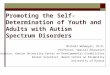 Promoting the Self-Determination of Youth and Adults with Autism Spectrum Disorders Michael Wehmeyer, Ph.D. Professor, Special Education Director, Kansas