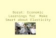 Borat: Economic Learnings for Make Smart about Elasticity