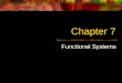 Chapter 7 Functional Systems. Functional Business Areas