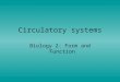 Circulatory systems Biology 2: Form and Function