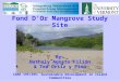 Fond D'Or Mangrove Study Site By: Nathaly Agosto Filión & Ted Ortiz y Pino CDAE 195/295: Sustainable Development in Island Communities