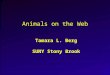 UCB Computer Vision Animals on the Web Tamara L. Berg SUNY Stony Brook