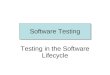 Software Testing Testing in the Software Lifecycle