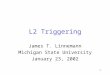 1 L2 Triggering James T. Linnemann Michigan State University January 23, 2002