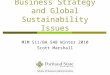Business Strategy and Global Sustainability Issues MIM 511/BA 548 Winter 2010 Scott Marshall