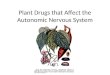 Plant Drugs that Affect the Autonomic Nervous System