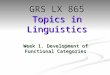 Week 1. Development of Functional Categories GRS LX 865 Topics in Linguistics