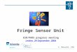 ESO/PAOS progress meeting Leiden, 29 September, 2004 Fringe Sensor Unit S. Menardi, ESO