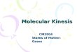 Molecular Kinesis CM2004 States of Matter: Gases