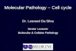 Molecular Pathology – Cell cycle Dr. Leonard Da Silva Senior Lecturer Molecular & Cellular Pathology
