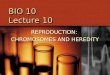 BIO 10 Lecture 10 REPRODUCTION: CHROMOSOMES AND HEREDITY