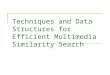 Techniques and Data Structures for Efficient Multimedia Similarity Search