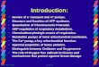 Walt Balcavage 6/26/20151 Introduction: Review of e - transport and H + pumps. Structure and function of ATP synthase. Quantitation of Chemiosmotic Potential