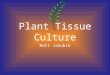 Plant Tissue Culture Matt Jakubik. T.C. * Refers to technique of growing plant cells, tissues, organs, seeds *or other plant parts in a sterile environment