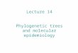 Lecture 14 Phylogenetic trees and molecular epidemiology