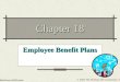 © 2004 The McGraw-Hill Companies, Inc. McGraw-Hill/Irwin Chapter 18 Employee Benefit Plans