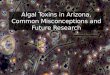 Algal Toxins in Arizona, Common Misconceptions and Future Research