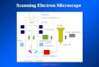 Scanning Electron Microscope د. عمر عبد القادر