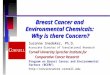 Breast Cancer and Environmental Chemicals: Why is there Concern? Suzanne Snedeker, Ph.D. Associate Director of Translational Research Cornell University