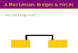 How does a bridge work? A Mini Lesson: Bridges & Forces
