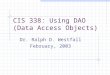 CIS 338: Using DAO (Data Access Objects) Dr. Ralph D. Westfall February, 2003
