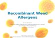 Recombinant Weed Allergens Nicole Wopfner Christian Doppler Laboratory for Allergy Diagnosis and Therapy Department of Molecular Biology University of